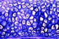 Yellow elastic cartilage slide