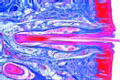 Tactile hairs slide, with blood sinus