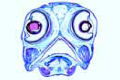 Fresh water fish, head and ey