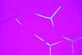 Sponge spicules slide, strewn slide of mixed species