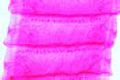 Moniezia expansa slide, tapeworm of sheep