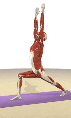 Warrior-pose animation