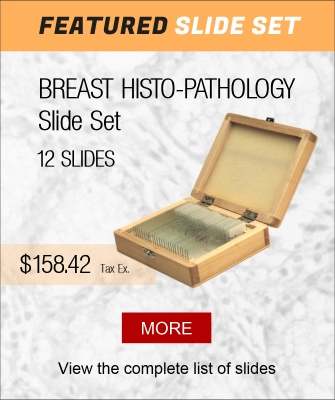 Breast Histopathology Slide Set