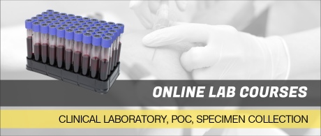 Online Lab Courses