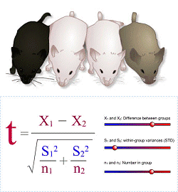 Experimental Design