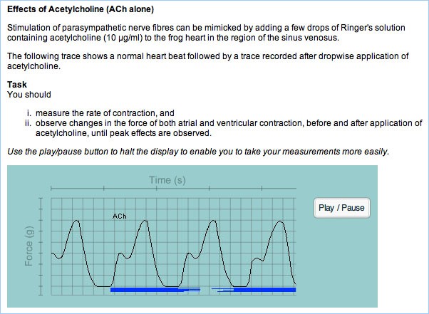 Effects of Acetylcholine